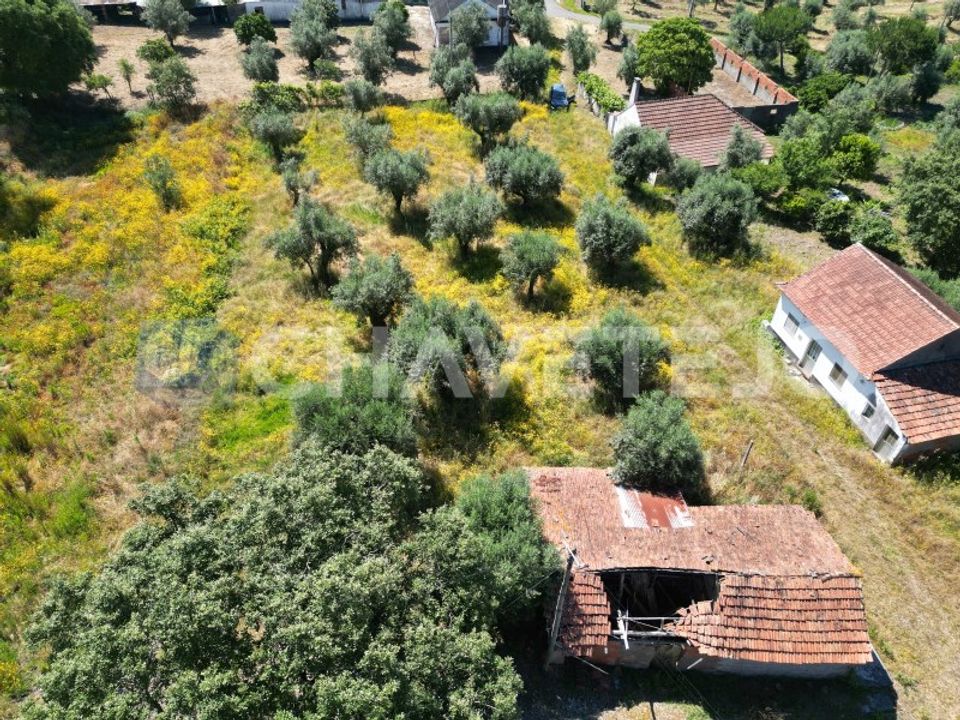 Helårsgrund i Ourem, Santarem - foto 4
