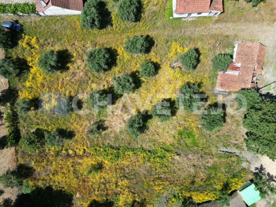 Helårsgrund i Ourem, Santarem - foto 5