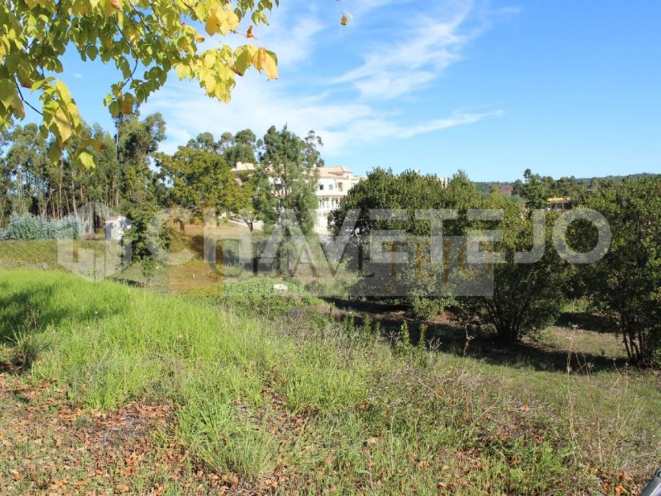 Helårsgrund i Ferreira do Zezere, Santarem - foto 5