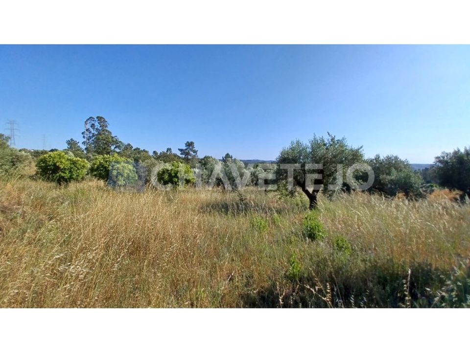 Grond in Tomar, Santarem - foto 1