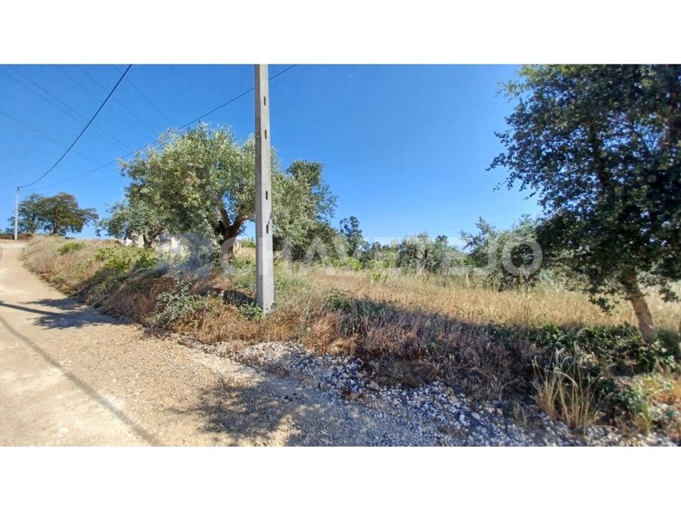 Grond in Tomar, Santarem - foto 4