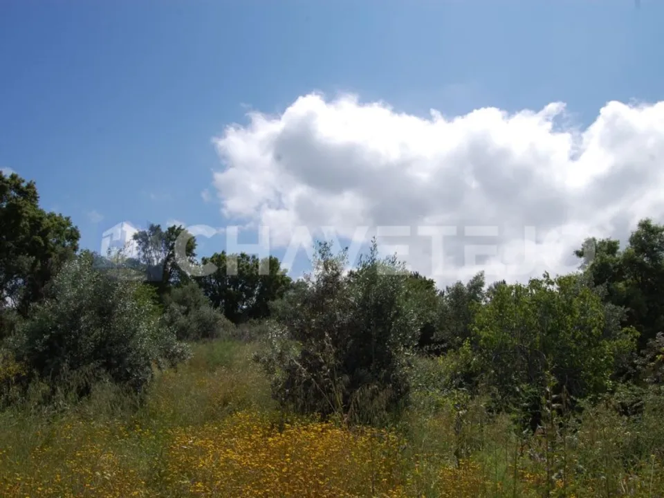 Helårsgrund i Tomar, Santarem - foto 1