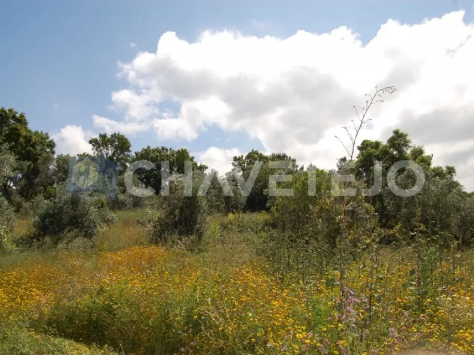 Helårsgrund i Tomar, Santarem - foto 2