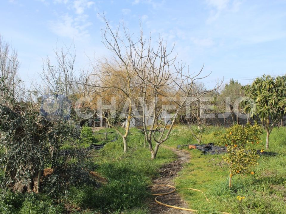 Grond in Tomar, Santarem - foto 3