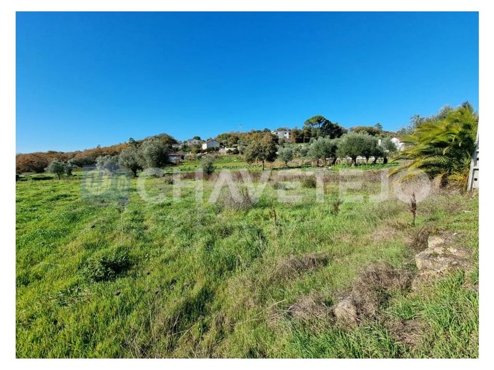 Helårsgrund i Ferreira do Zezere, Santarem - foto 3