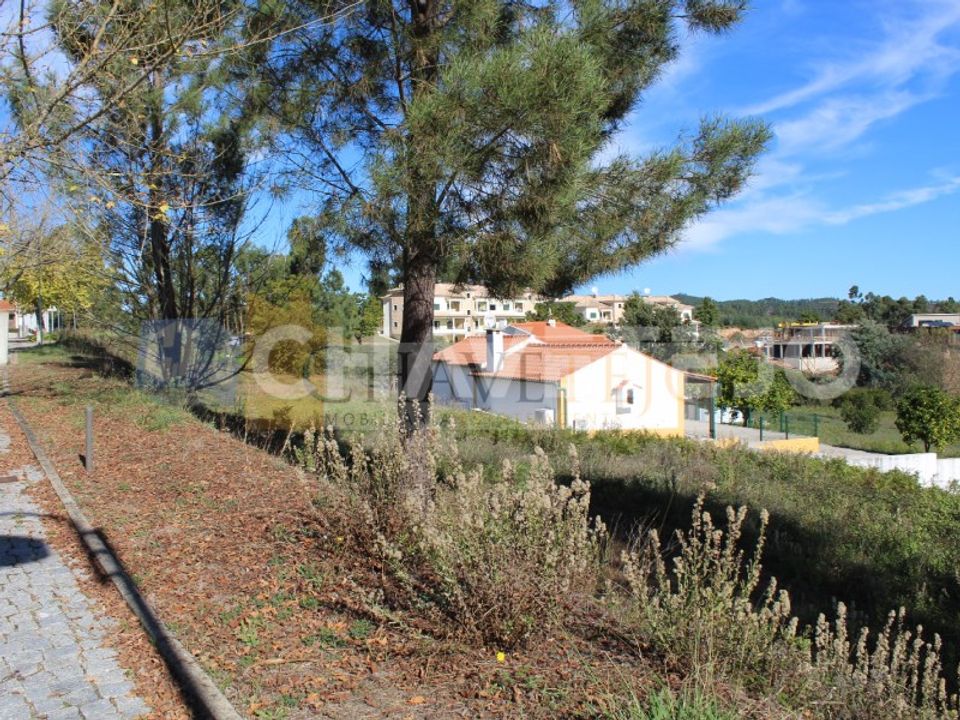 Helårsgrund i Ferreira do Zezere, Santarem - foto 3