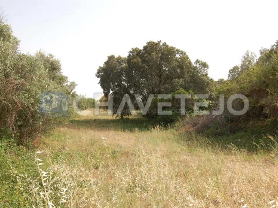 Helårsgrund i Ferreira do Zezere, Santarem - foto 1