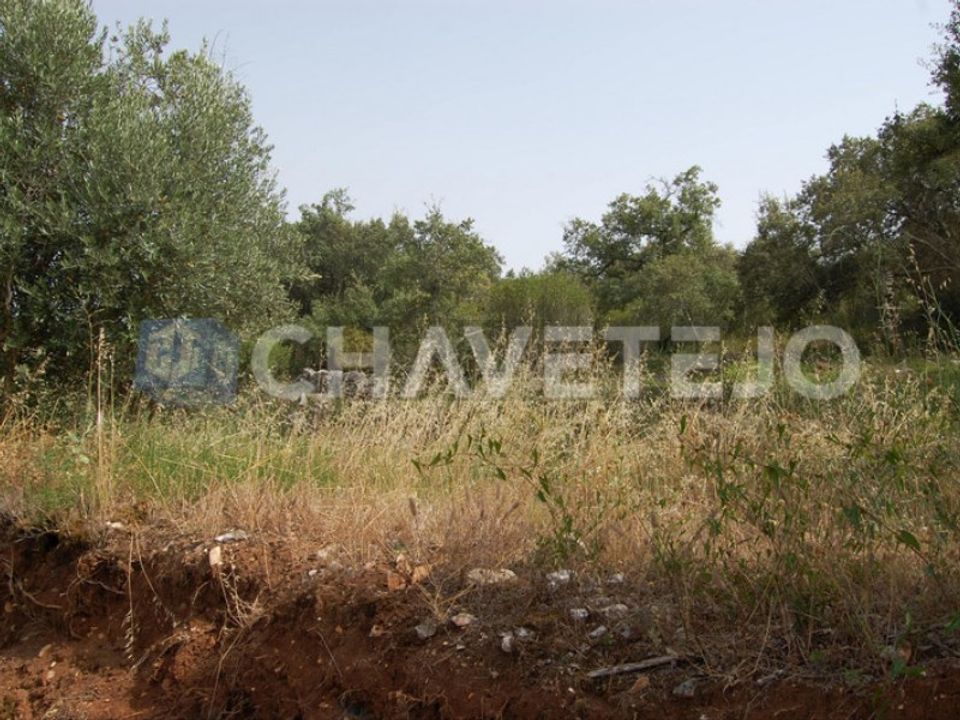 Helårsgrund i Ferreira do Zezere, Santarem - foto 3