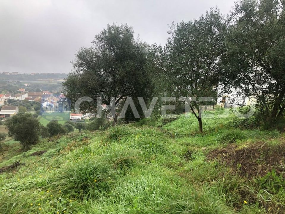 Terra a Tomar, Santarem - foto 4