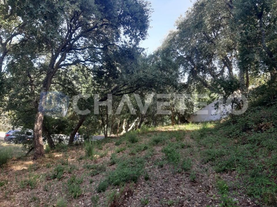 Helårsgrund i Serra, Santarem - foto 2