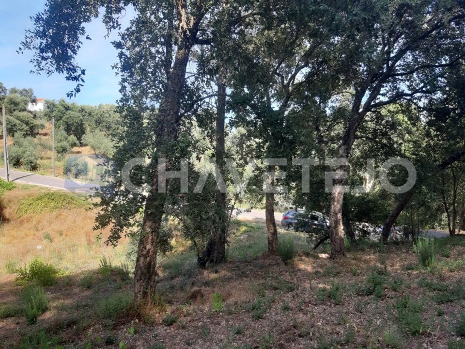 Helårsgrund i Serra, Santarem - foto 3
