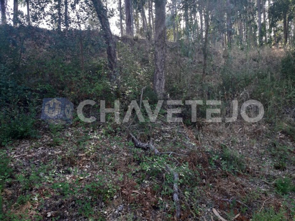 Helårsgrund i Serra, Santarem - foto 5