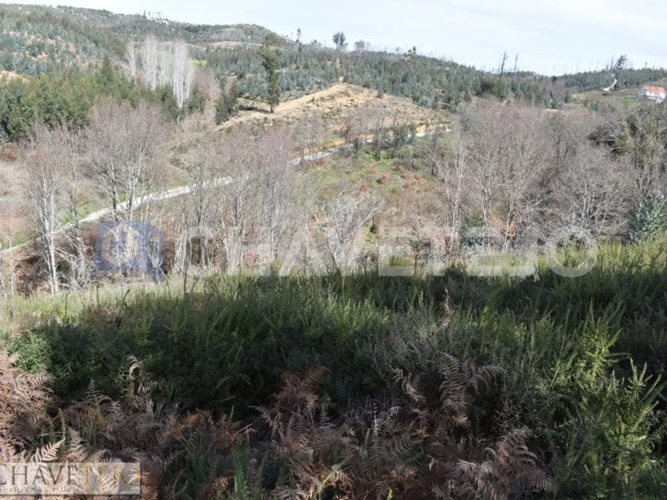 Tomt i Pedrogao Grande, Leiria - bilde 1