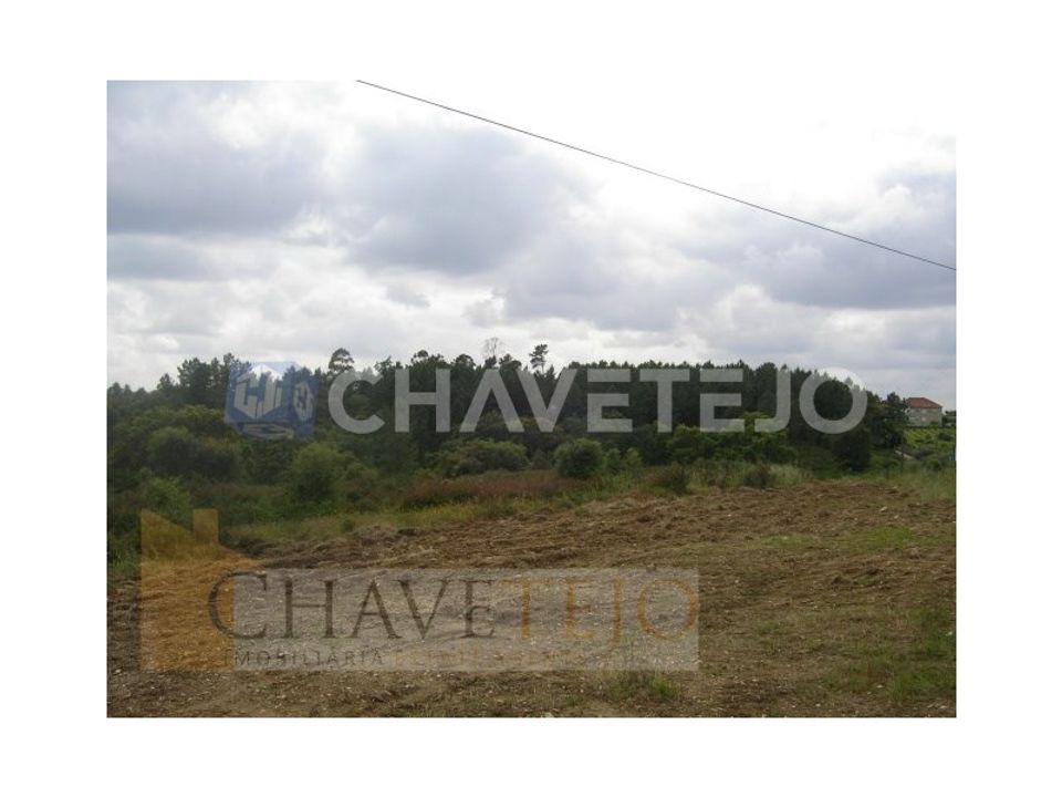 Grond in Tomar, Santarem - foto 4