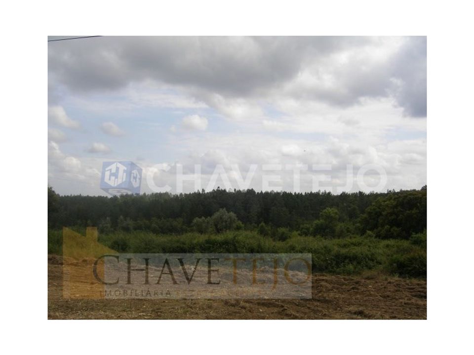 Grond in Tomar, Santarem - foto 5
