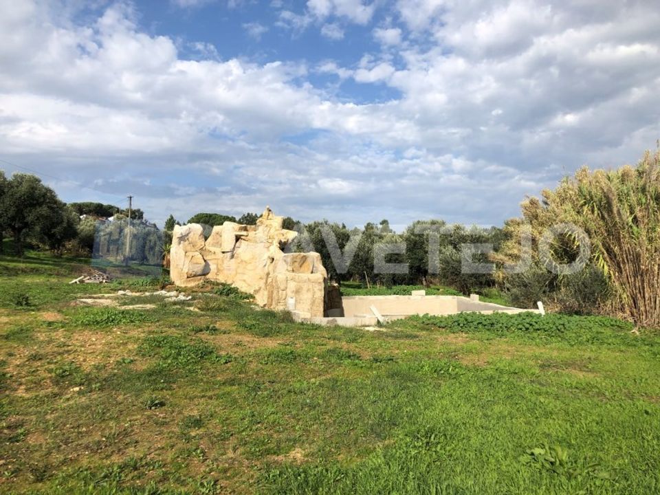 Helårsgrund i Asseiceira, Santarem - foto 4