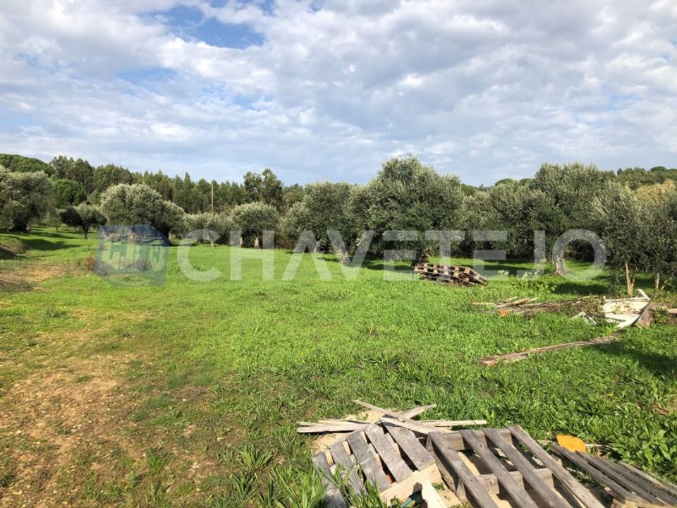 Helårsgrund i Asseiceira, Santarem - foto 5