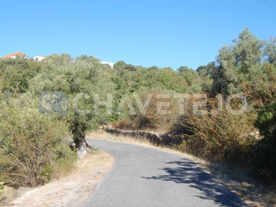 Helårsgrund i Tomar, Santarem - foto 1