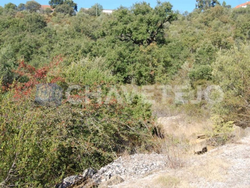 Helårsgrund i Tomar, Santarem - foto 2
