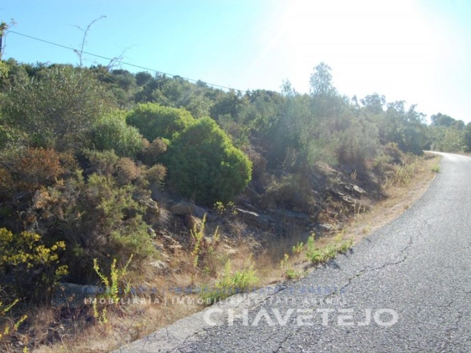 Helårsgrund i Tomar, Santarem - foto 3