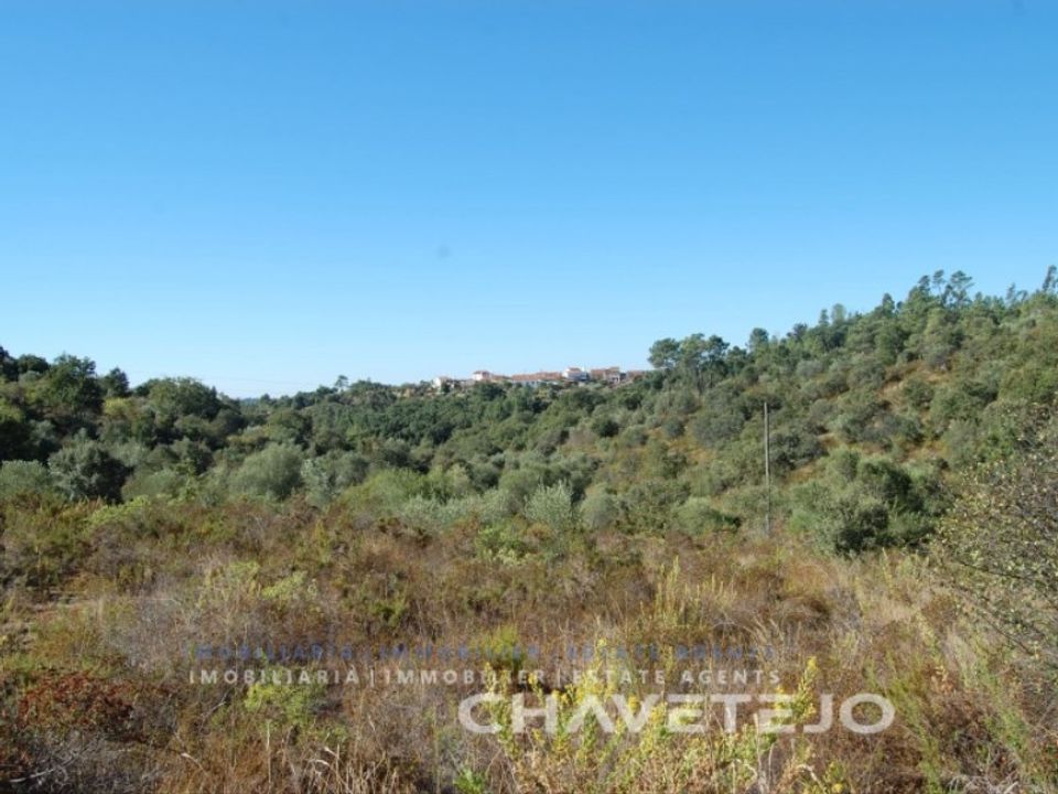 Helårsgrund i Tomar, Santarem - foto 4