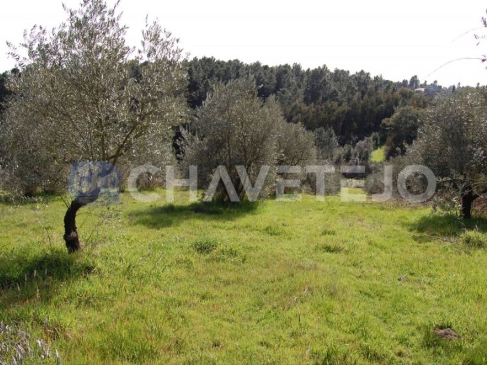 Grond in Tomar, Santarem - foto 1