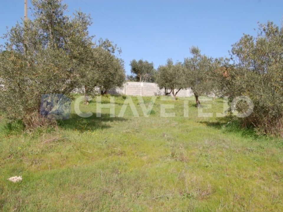 Grond in Tomar, Santarem - foto 3