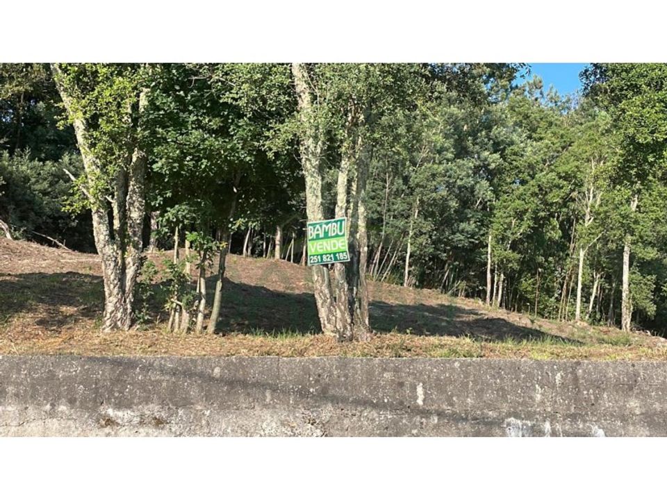 Helårsgrund i Gandra e Taiao, Viana do Castelo - foto 1