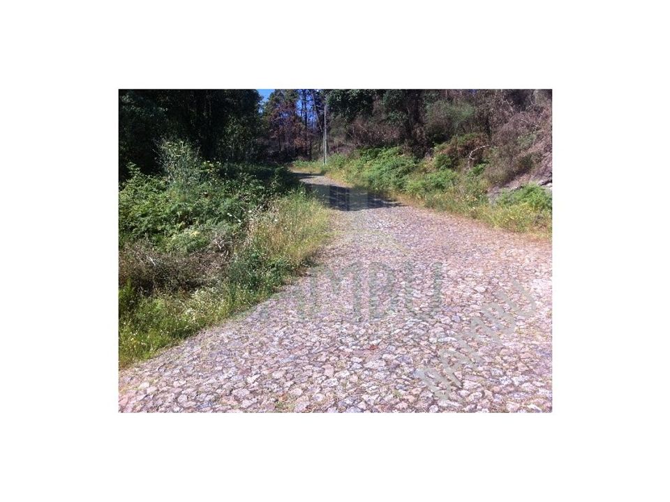 Helårsgrund i Venade e Azevedo, Viana do Castelo - foto 3