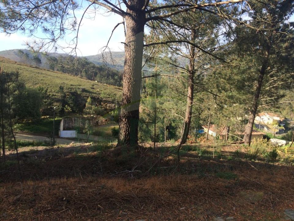 Helårsgrund i Venade e Azevedo, Viana do Castelo - foto 3