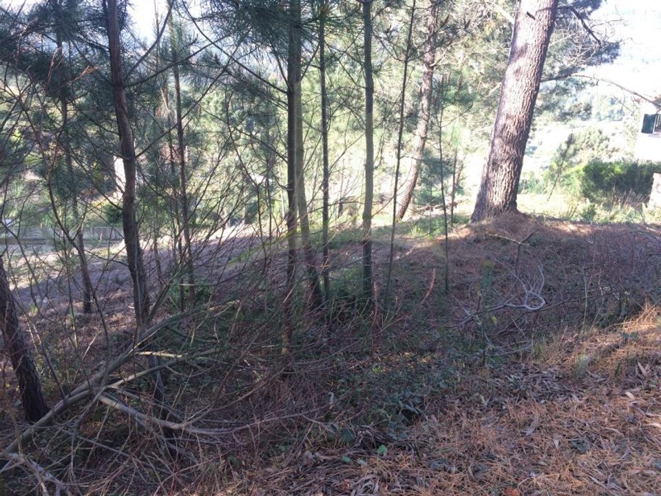 Helårsgrund i Venade e Azevedo, Viana do Castelo - foto 5