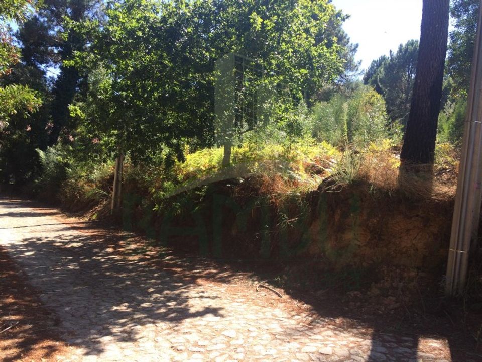 Helårsgrund i Venade e Azevedo, Viana do Castelo - foto 3