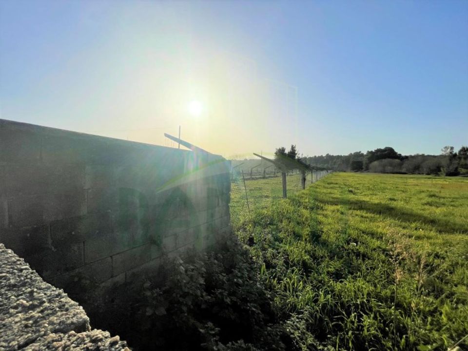 Helårsgrund i Caminha, Viana do Castelo - foto 3