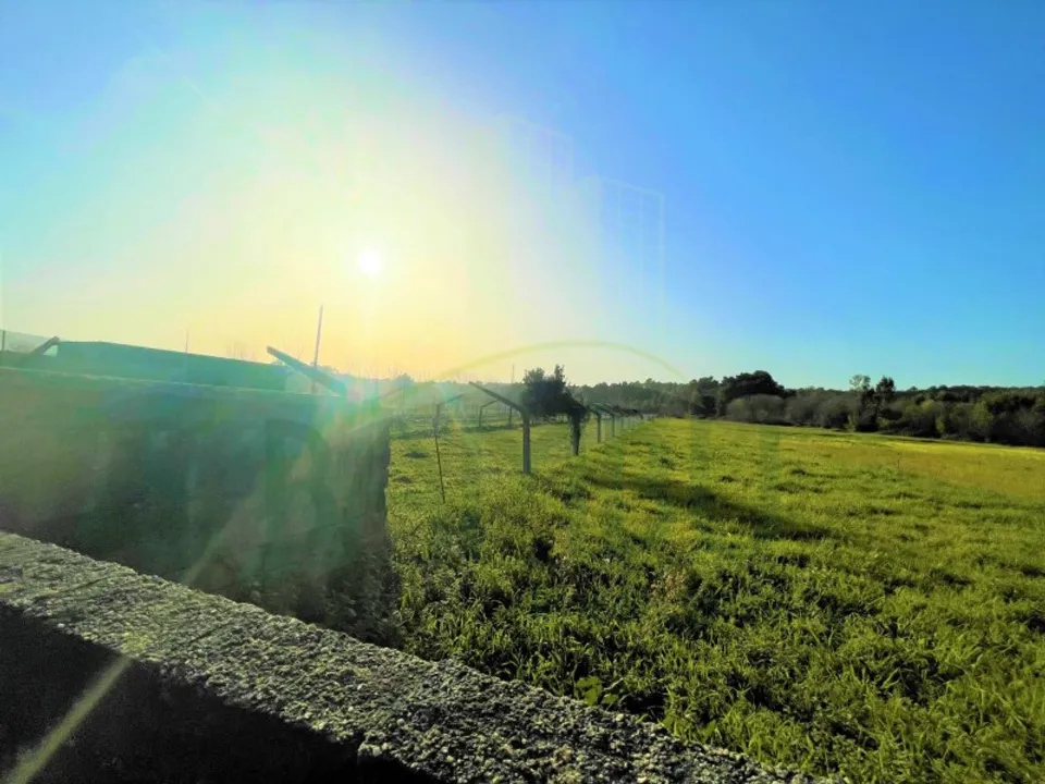 Helårsgrund i Caminha, Viana do Castelo - foto 5