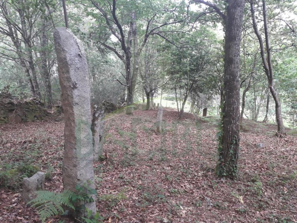 Ruinere i Caminha, Viana do Castelo - foto 5