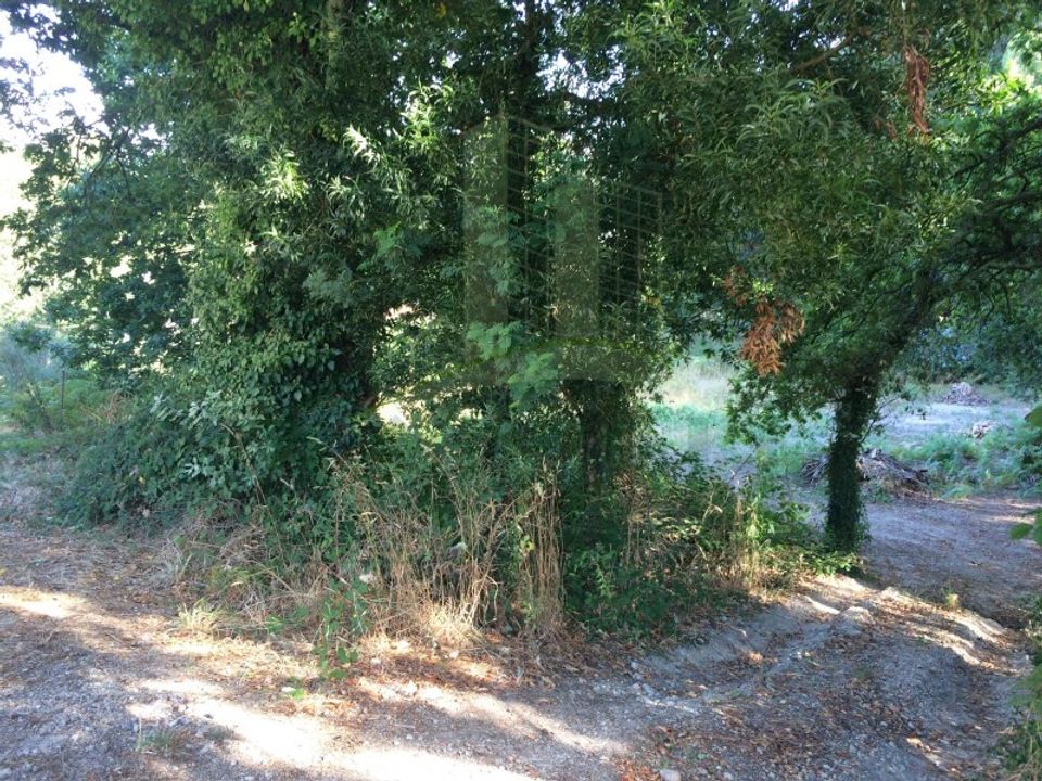 Helårsgrund i Caminha, Viana do Castelo - foto 5