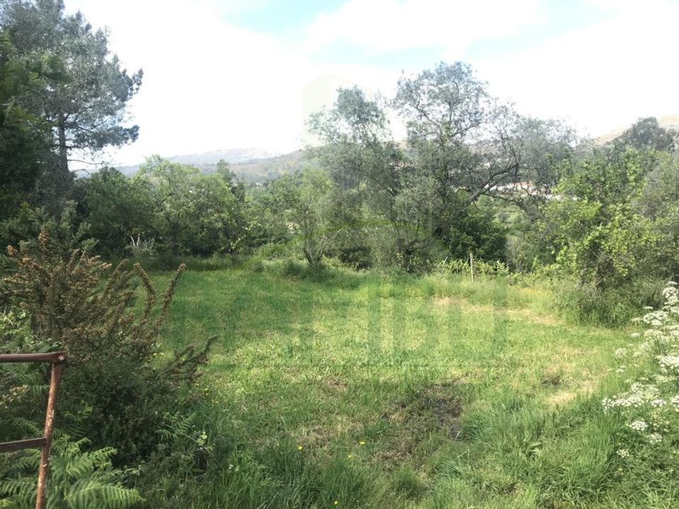 Helårsgrund i Valenca, Viana do Castelo - foto 2