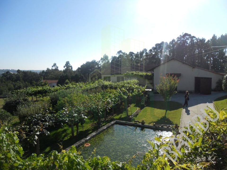 Gård i Caminha, Viana do Castelo - bilde 1