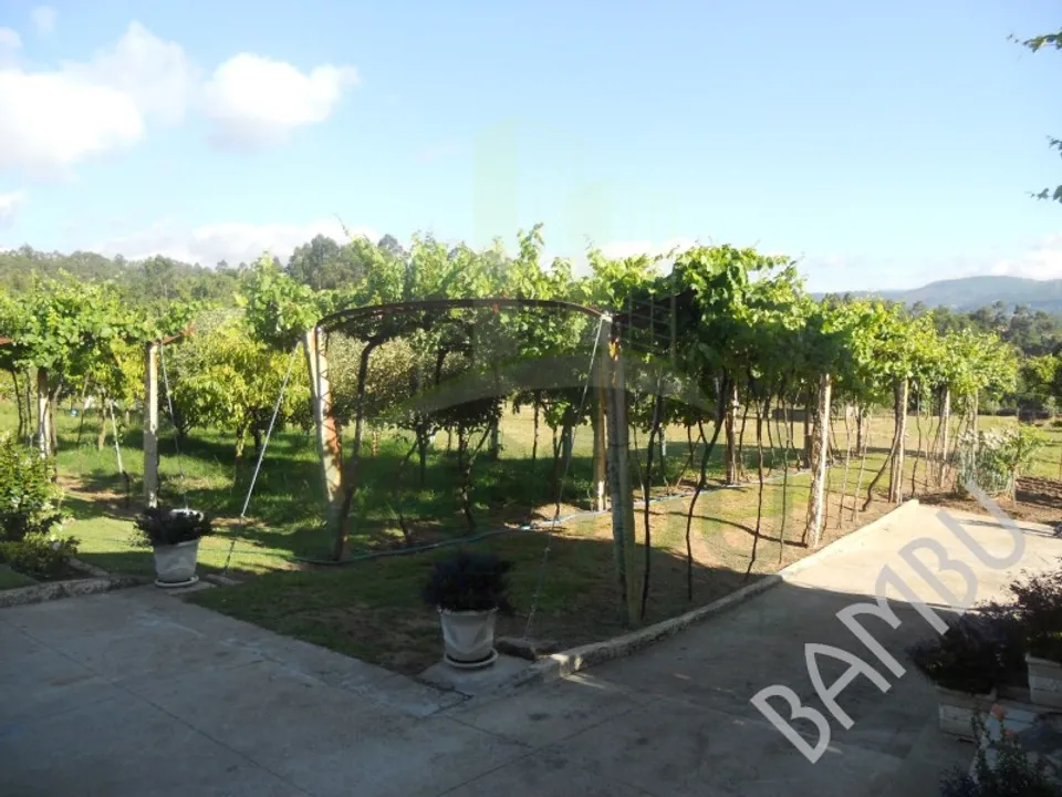 Gård i Caminha, Viana do Castelo - bilde 3