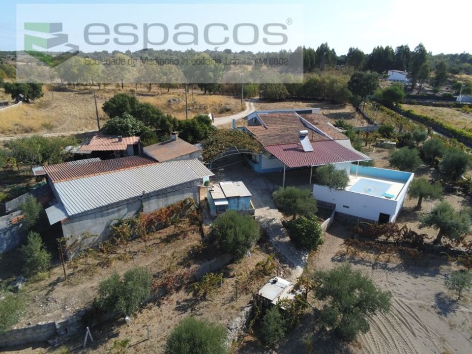 Farm i Escalos de Baixo, Castelo Branco - foto 4