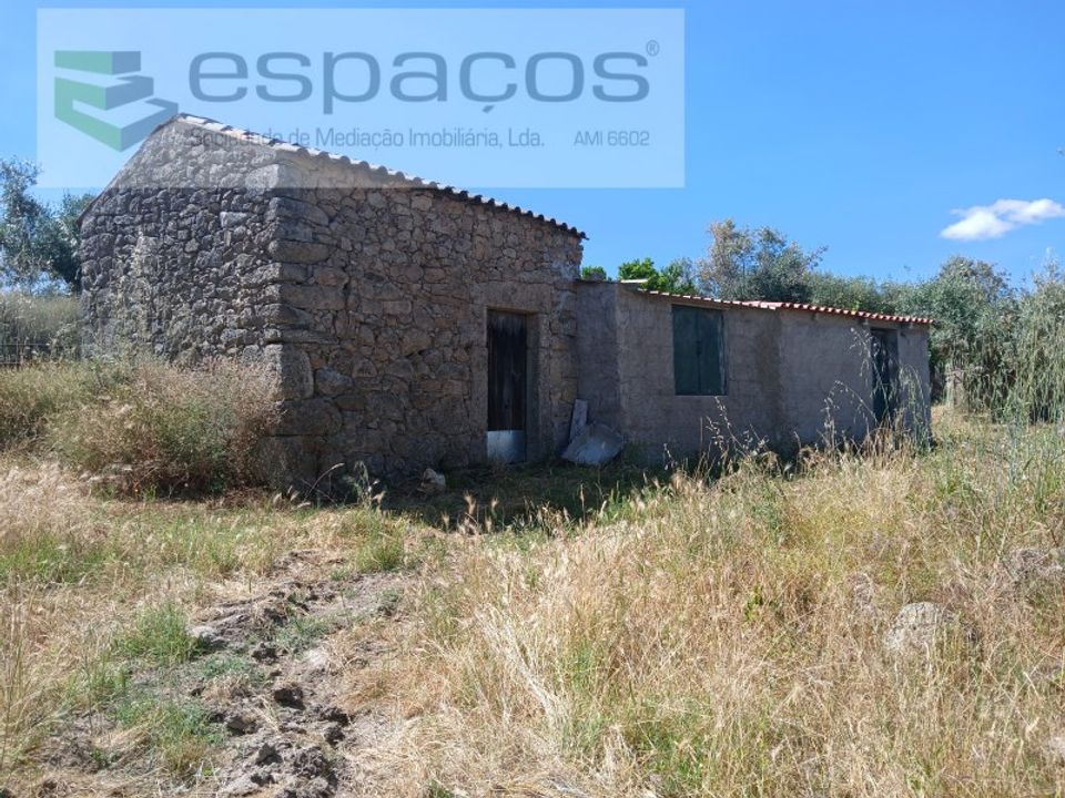 Farm i Castelo Branco, Castelo Branco - foto 1