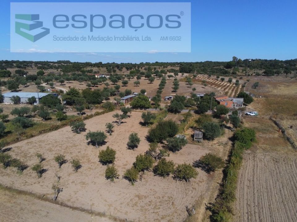Farm i Castelo Branco, Castelo Branco - foto 1