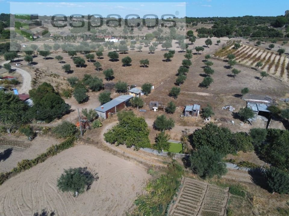 Farm i Castelo Branco, Castelo Branco - foto 5
