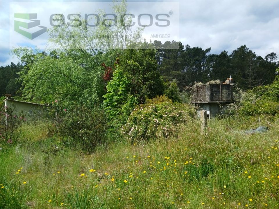 Farm i Castelo Branco, Castelo Branco - foto 4