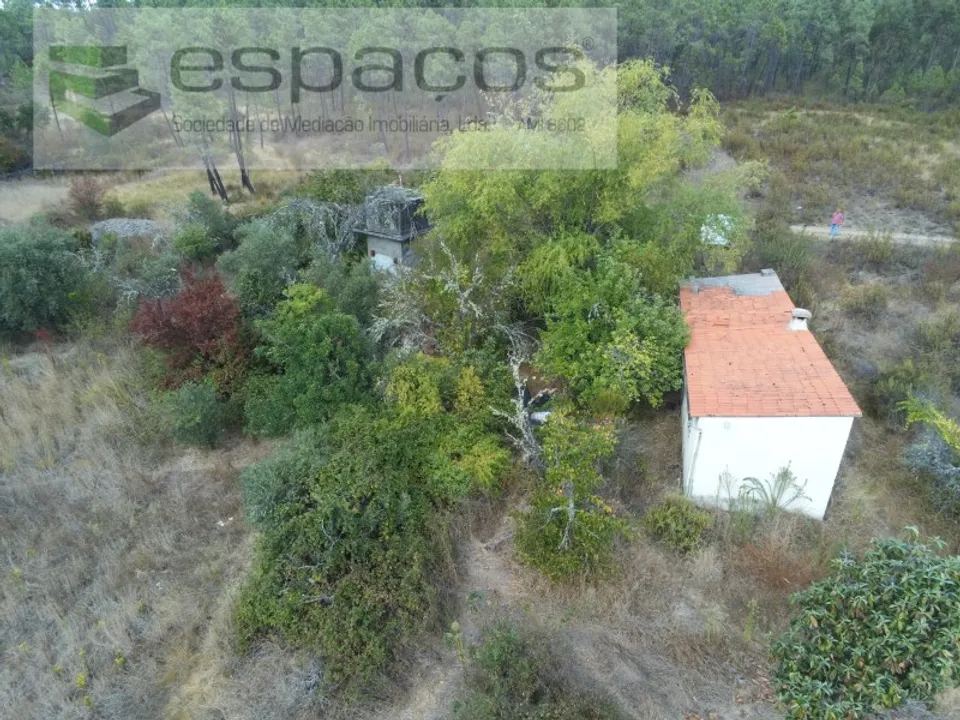 Farm i Castelo Branco, Castelo Branco - foto 1