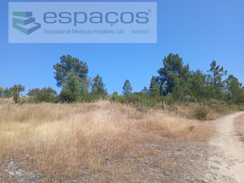 Terreno en Vila Velha de Rodao, Castelo Branco - foto 5