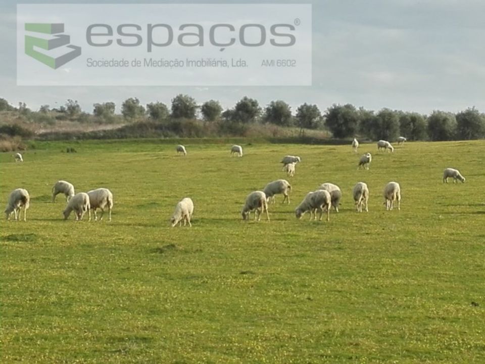 Landejendom i Ladoeiro, Castelo Branco - foto 1