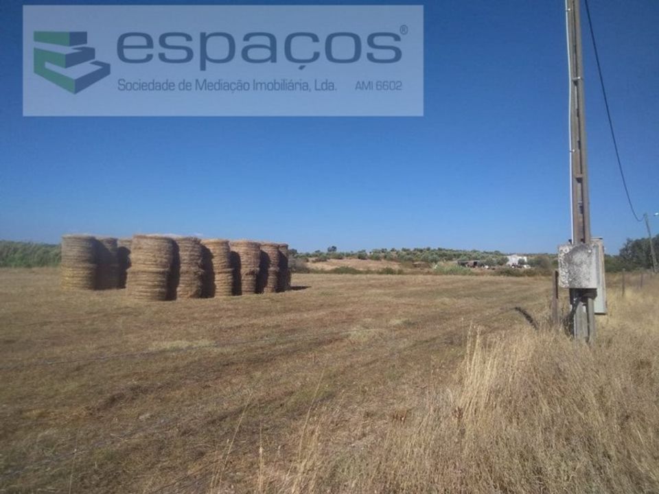 Landejendom i Ladoeiro, Castelo Branco - foto 3