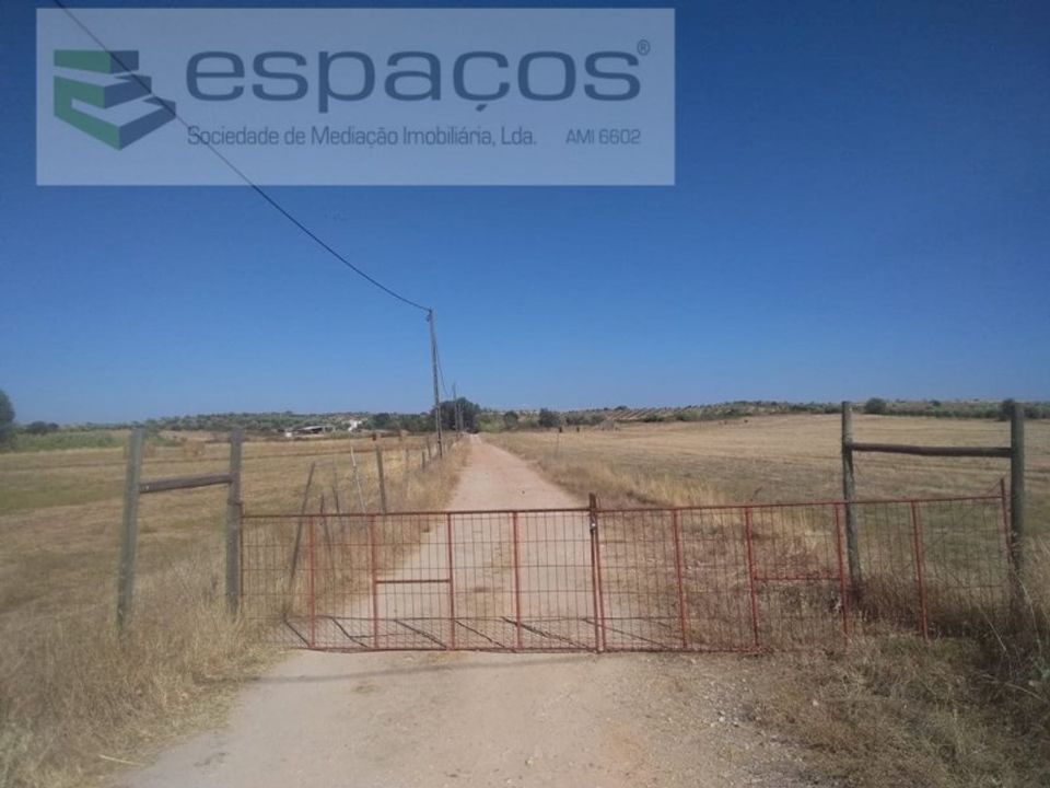 Landejendom i Ladoeiro, Castelo Branco - foto 4