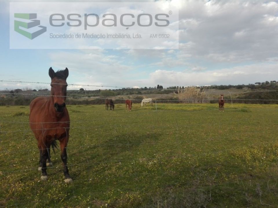 Landejendom i Ladoeiro, Castelo Branco - foto 5
